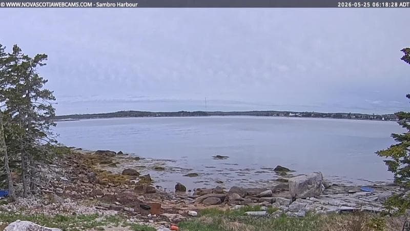 Sambro Harbour
