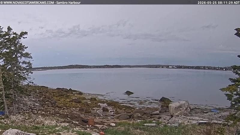 Sambro Harbour