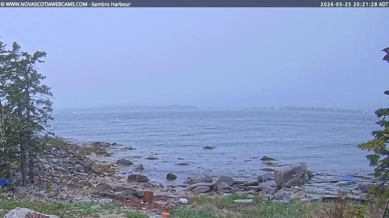 Sambro Harbour