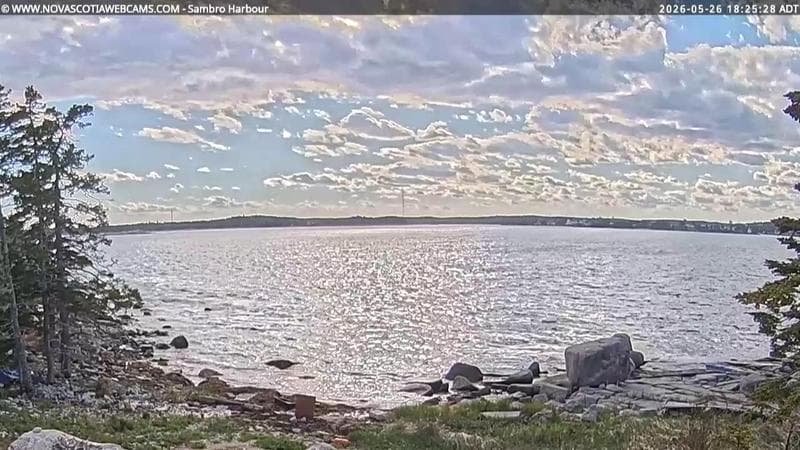 Sambro Harbour