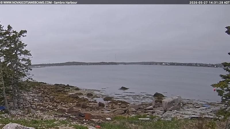 Sambro Harbour