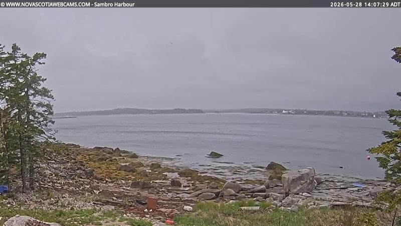 Sambro Harbour