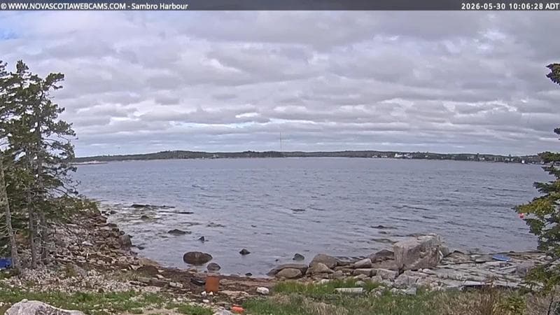 Sambro Harbour