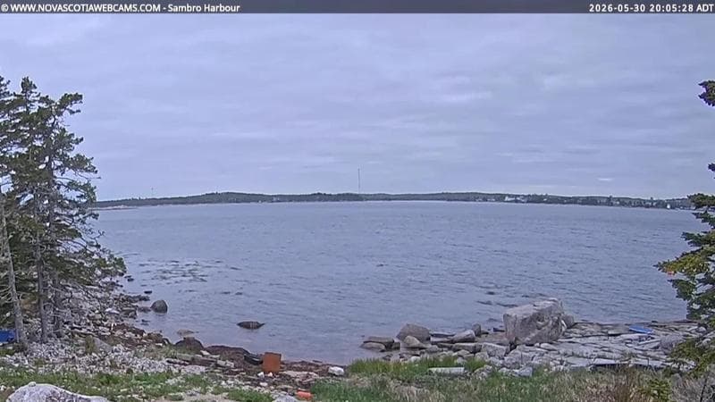 Sambro Harbour