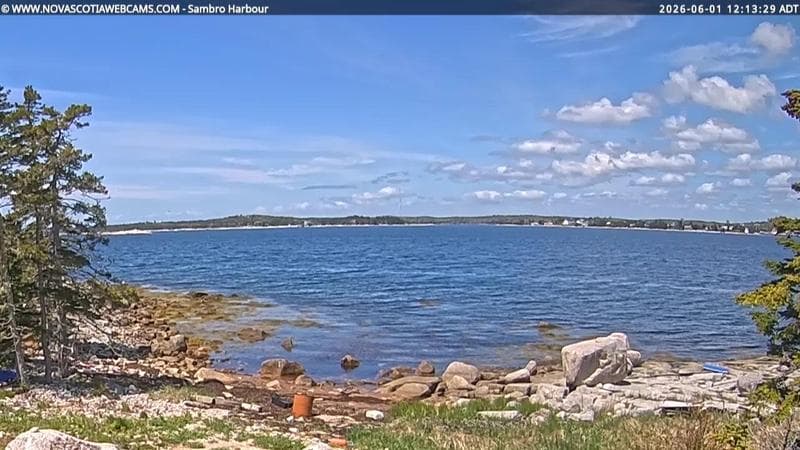 Sambro Harbour