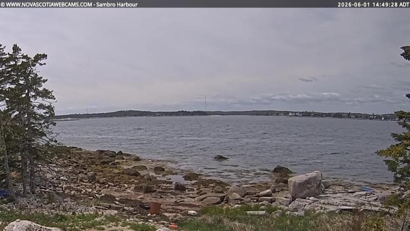 Sambro Harbour