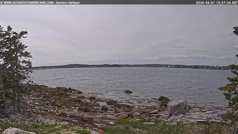 Sambro Harbour