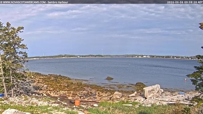 Sambro Harbour
