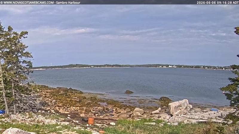 Sambro Harbour