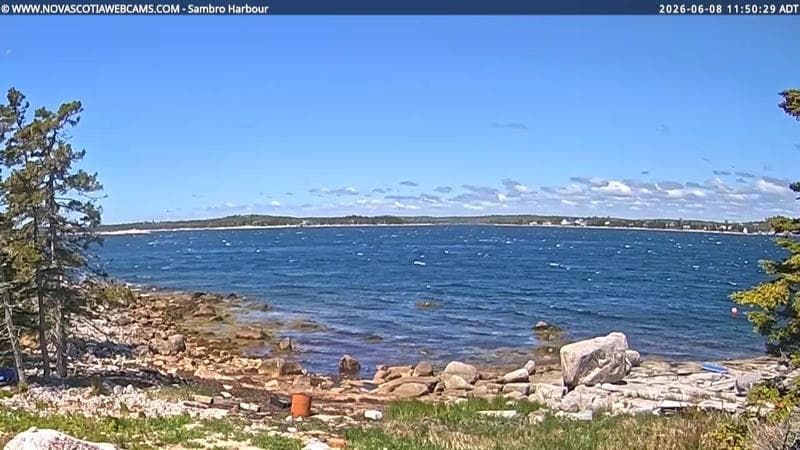 Sambro Harbour