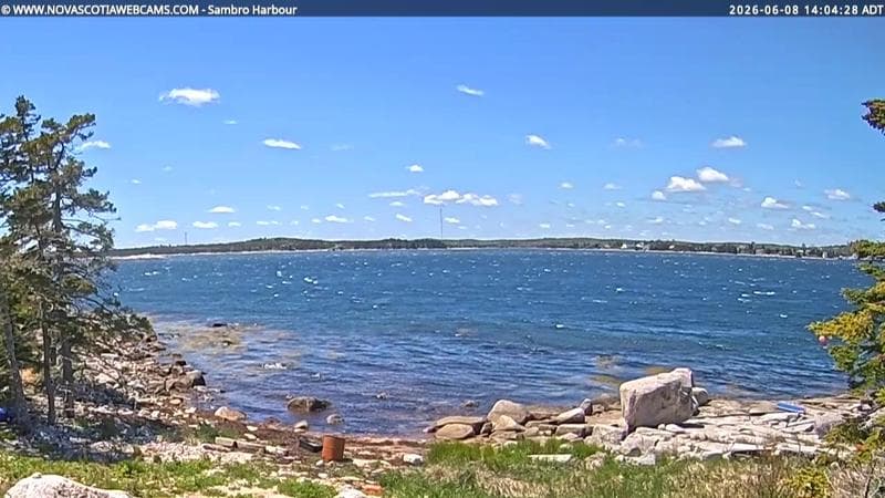 Sambro Harbour