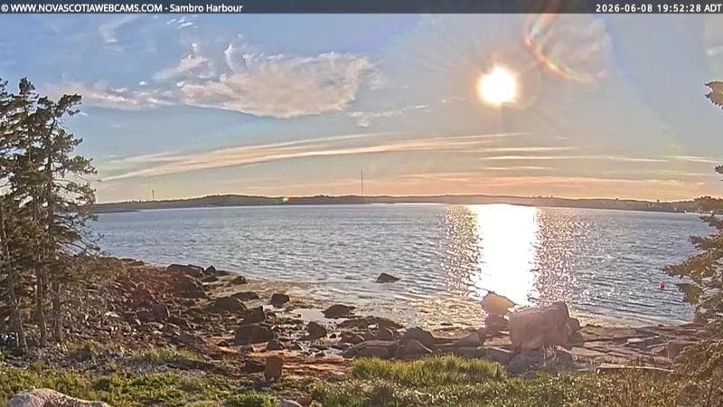 Sambro Harbour