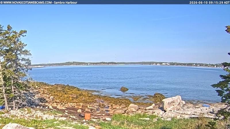 Sambro Harbour