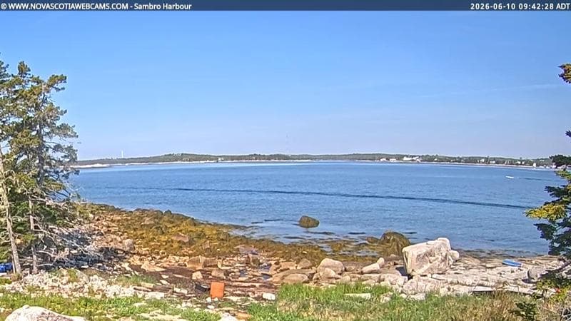Sambro Harbour