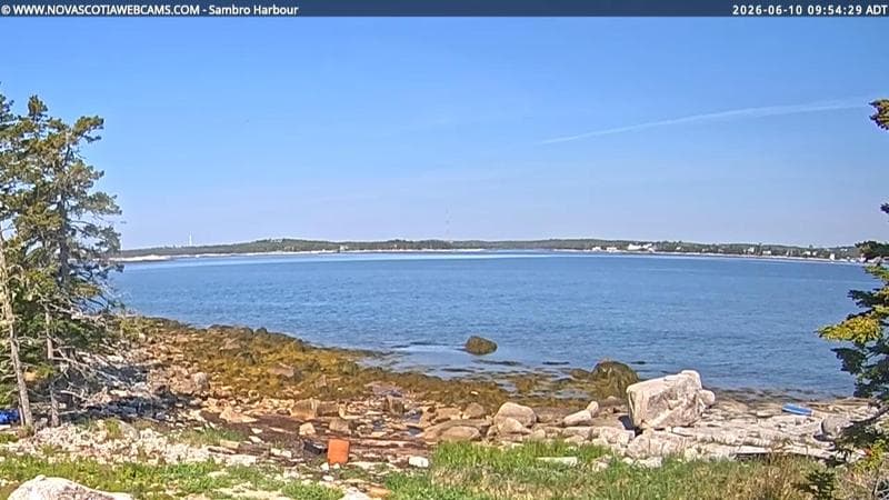 Sambro Harbour