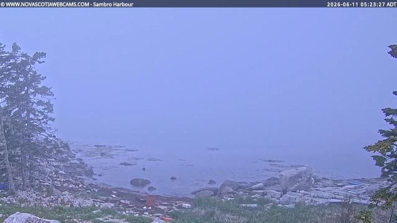 Sambro Harbour