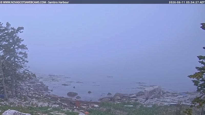 Sambro Harbour