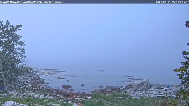 Sambro Harbour