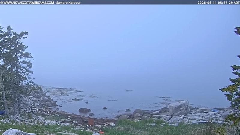 Sambro Harbour