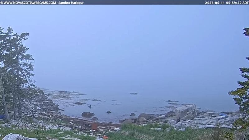 Sambro Harbour