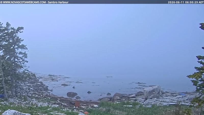 Sambro Harbour
