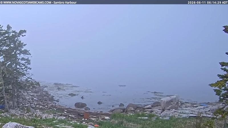 Sambro Harbour