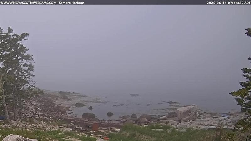 Sambro Harbour