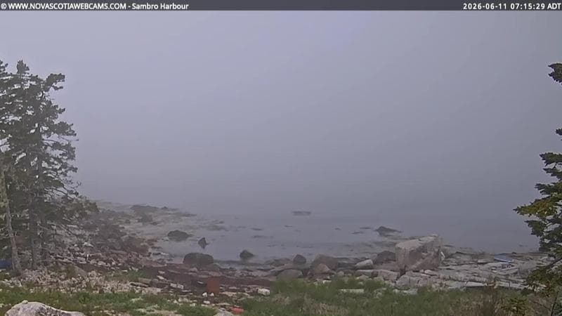 Sambro Harbour