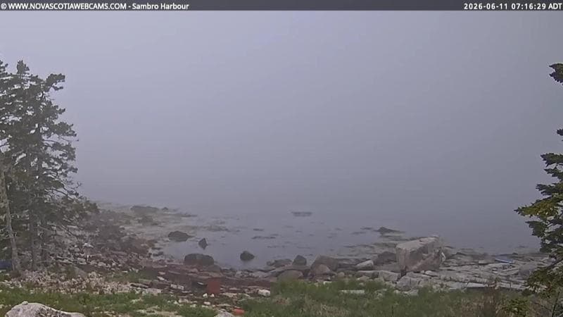 Sambro Harbour