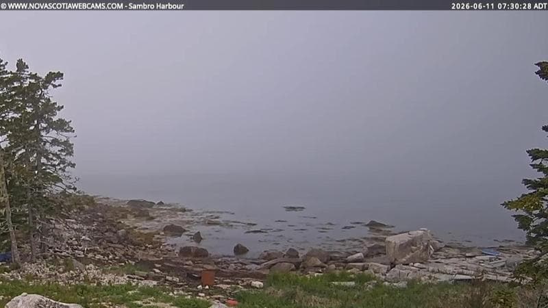 Sambro Harbour