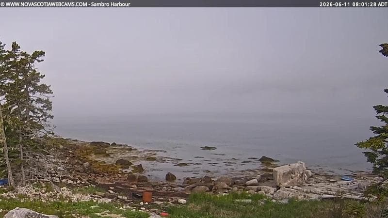 Sambro Harbour