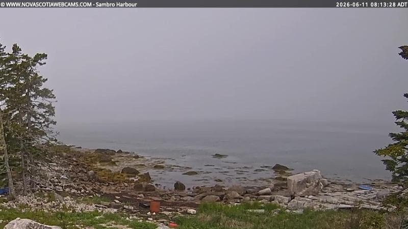 Sambro Harbour