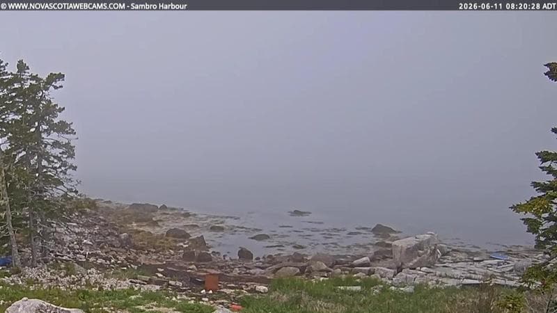Sambro Harbour