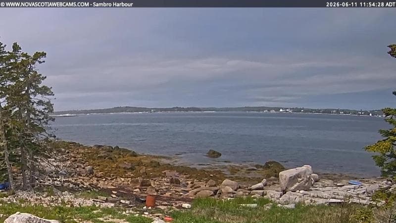 Sambro Harbour