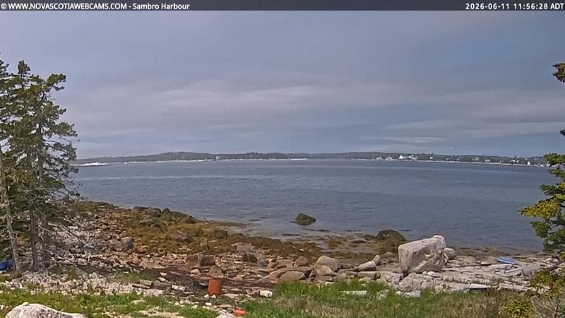 Sambro Harbour