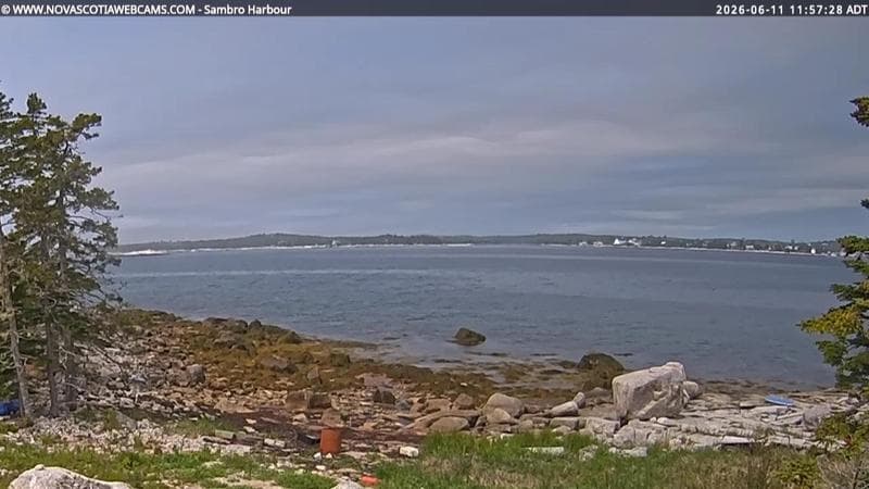 Sambro Harbour