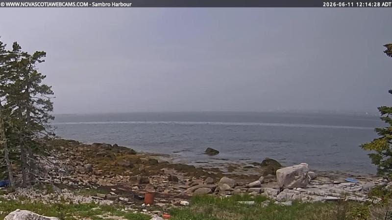 Sambro Harbour
