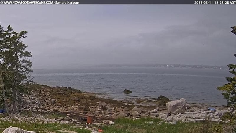 Sambro Harbour