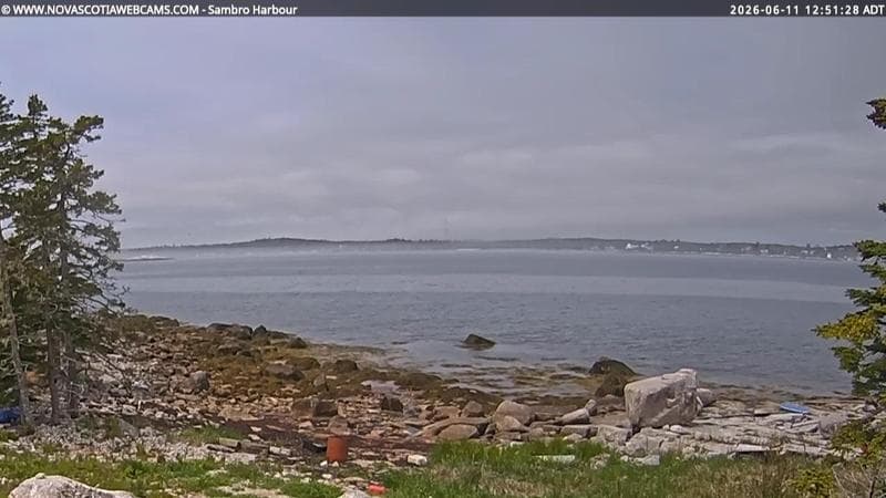 Sambro Harbour