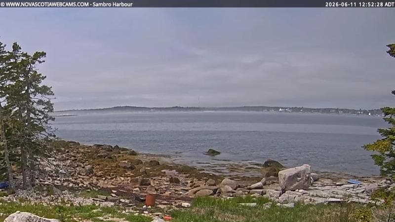 Sambro Harbour