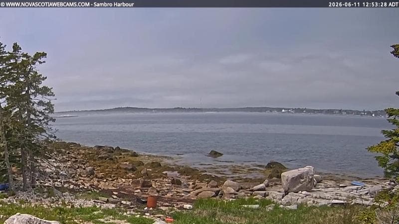 Sambro Harbour