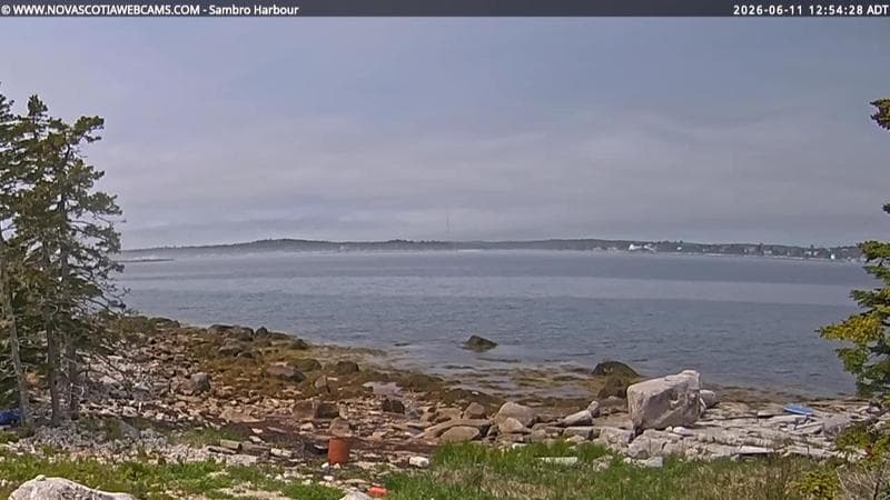 Sambro Harbour