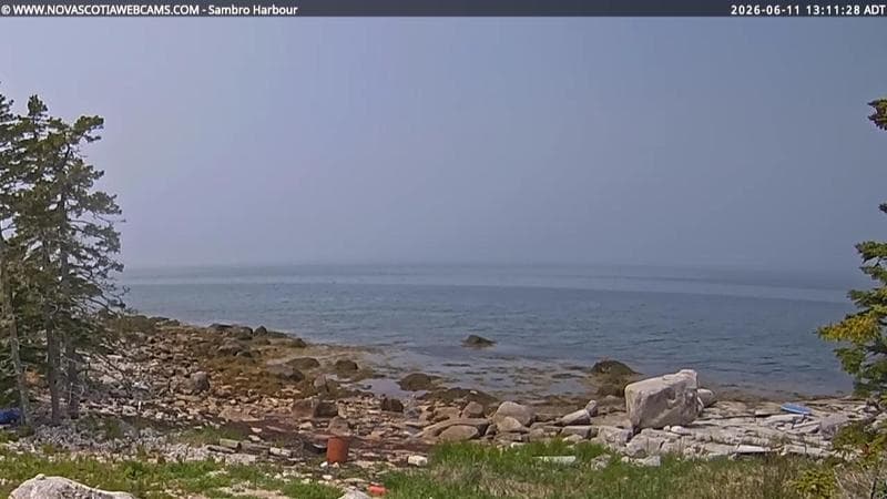 Sambro Harbour
