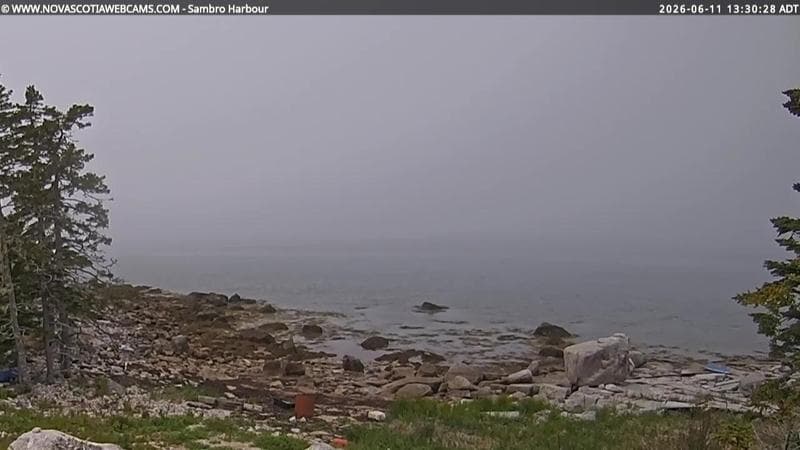 Sambro Harbour