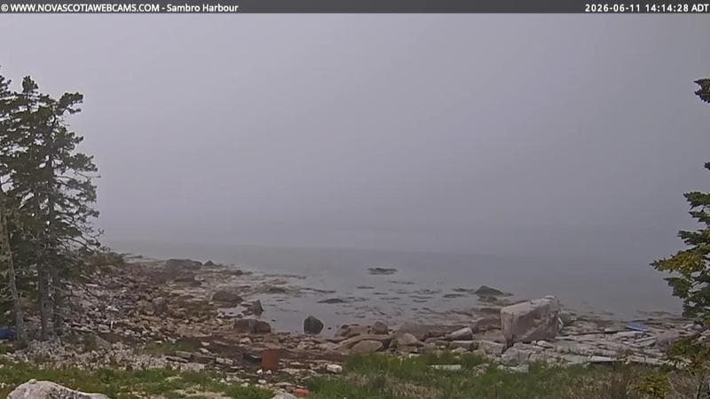 Sambro Harbour