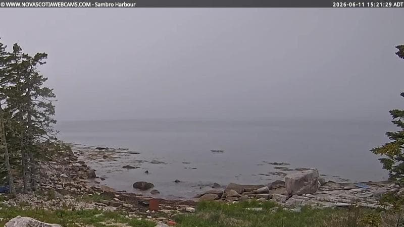Sambro Harbour