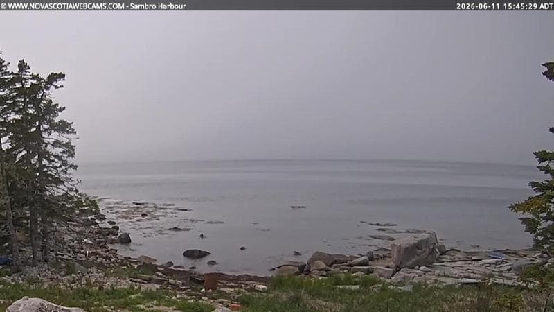 Sambro Harbour