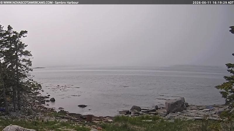 Sambro Harbour