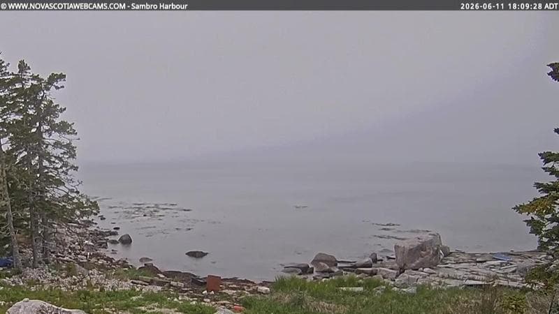 Sambro Harbour