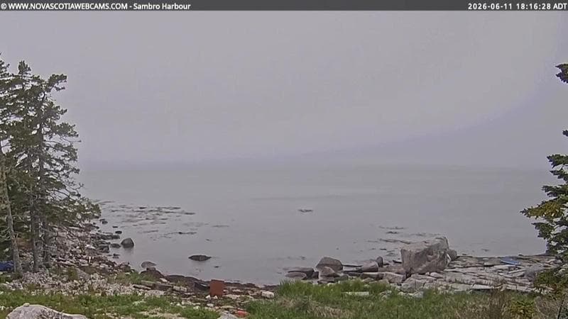 Sambro Harbour